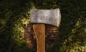 В Судогде под суд пойдет срубивший 33 дерева «черный лесоруб»