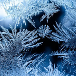 Во Владимирской области на неделе придут морозы до -25