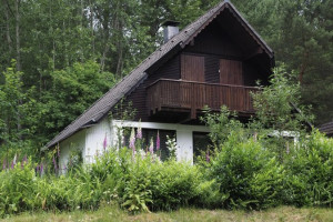 Во Владимирской области рецидивист из Москвы ограбил 18 дачных домов