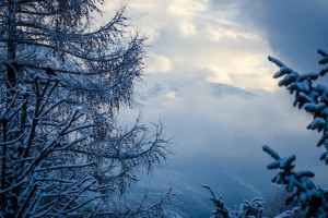 Прогноз погоды во Владимире и области на 22 февраля