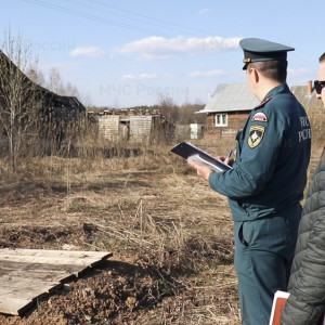Во Владимирской области нашли заросший сухостоем участок
