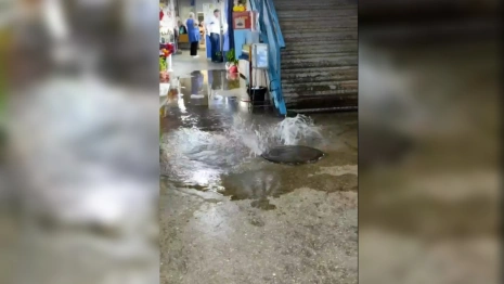 Во Владимире на рынке «Ополье» забил фонтан