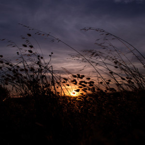 В Камешковском СНТ объявили поиски 69-летнего дедушки в синих галошах