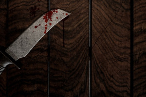 Житель Карабаново зарезал приятеля и пытался скрыть убийство