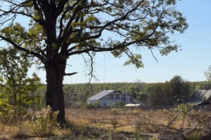 Во владимирском микрорайоне Лунево построят дороги за 127 млн рублей