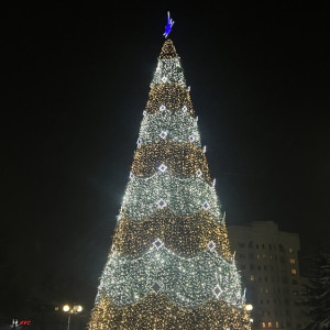На площади Победы во Владимире зажгли новогоднюю елку