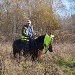 В лесу под Гороховцом встретили охотника на коне