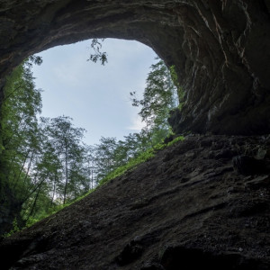 В Коврове пенсионер провалился в выкопанную коммунальщиками канаву