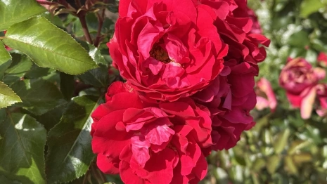 Прогноз погоды во Владимирской области на 17 июля 2025 года