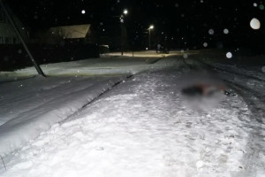 В Александрове мужчина застрелил незнакомца после онлайн-ссоры