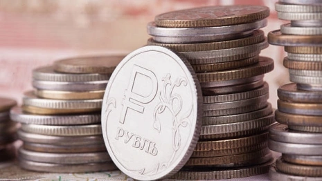 Малоимущая жительница Юрьев-Польского растратила 56 тыс. рублей соцпомощи