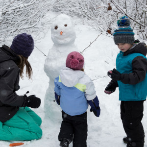 Владимирцев позвали в парки отметить 80-летие со дня снятия блокады Ленинграда