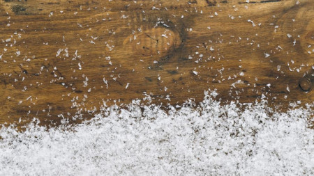 На Владимирскую область обрушатся штормовой ветер и снег