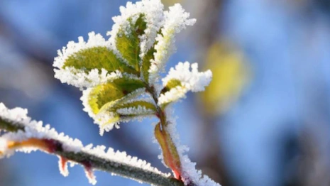 Михайлово чудо: что можно и нельзя делать 19 сентября