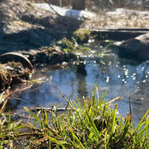 Прогноз погоды на 2 апреля 2024 года во Владимире и области