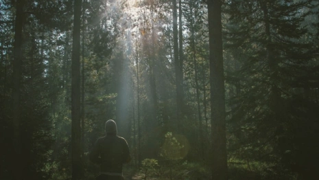 Во Владимирской области в подготовке к пожароопасному сезону нашли 72 нарушения