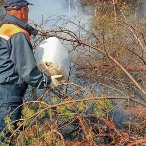 Лесной пожар у деревни Высоково в Камешковском районе тушат третьи сутки