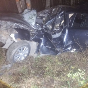 В Петушинском районе иномарка влетела в дерево: двое попали в больницу