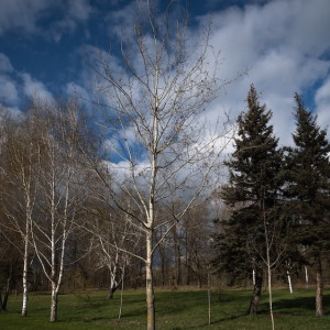 Корнилов день: что можно и нельзя делать 26 сентября