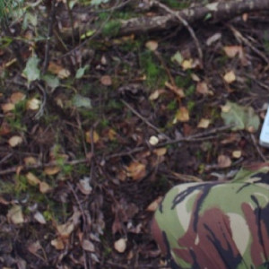 Во Владимире планы по застройке радиомогильника на Мира заинтересовали прокуратуру