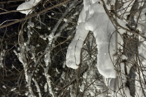 Прогноз погоды на 23.02.2025 во Владимире и области
