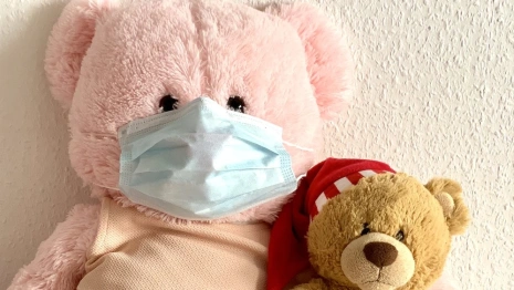 Во Владимирской области четыре школы и два детских сада ушли на карантин из-за ОРВИ