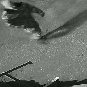 Во Владимирской области ищут свидетелей убийства: СК показал видео 
