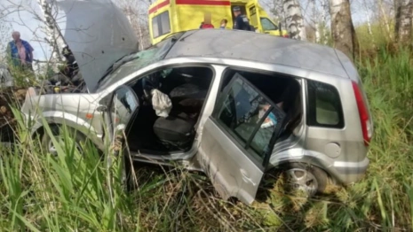 В Гусь-Хрустальном районе водитель не справился с управлением и въехал в дерево