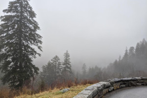 Прогноз погоды во Владимире и области на 7 декабря 2025 года