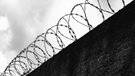 Владимирская область заняла 31 место в рейтинге по уровню преступности