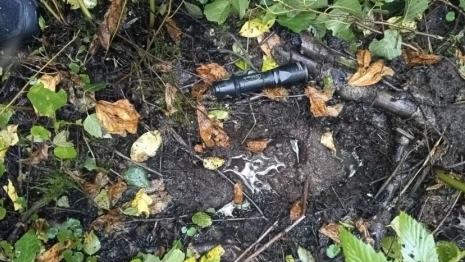 Волонтеры рассказали о спасении 84-летнего дедушки в лесу под Собинкой