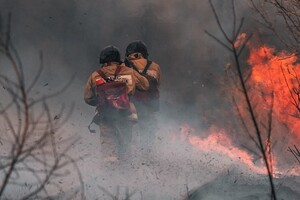 Во Владимирской области за сутки произошли 3 лесных пожара на площади в 10,8 га 