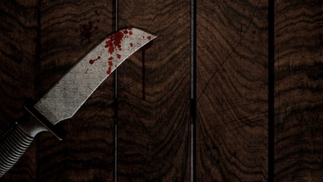 Жителя Карачаево-Черкессии арестовали за убийство 20-летней давности в Гусь-Хрустальном