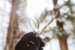 Прогноз погоды во Владимире и области на 11 февраля