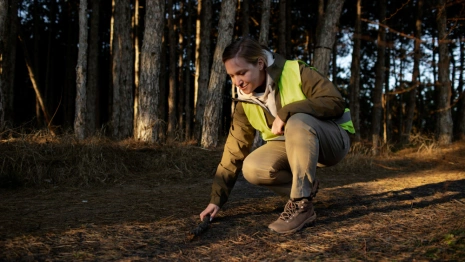 Во Владимирской области погиб 21 пропавший без вести человек