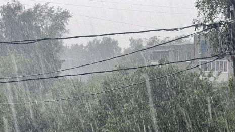 Дождь накроет Владимирскую область во второй половине дня 3 июля
