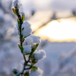 Прогноз погоды во Владимире и области на 27 февраля