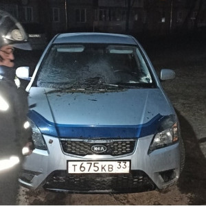 Во Владимирской области сгорела иномарка