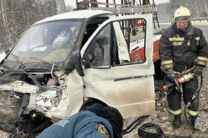 Водитель ГАЗели пострадал в ДТП под Петушками