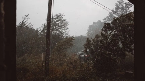 Жителей Владимирской области предупредили о шквальном ветре 