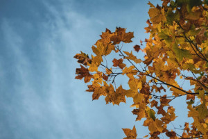 Прогноз погоды во Владимире и области на 13 сентября