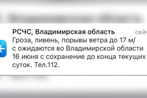 МЧС предупредило жителей Владимирской области о ливне с грозой и урагане до 17 м/с