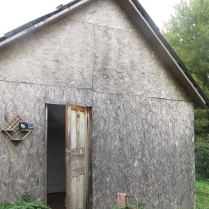 Жителя Владимирской области задержали за кражу лошадиных подков и флага с дач