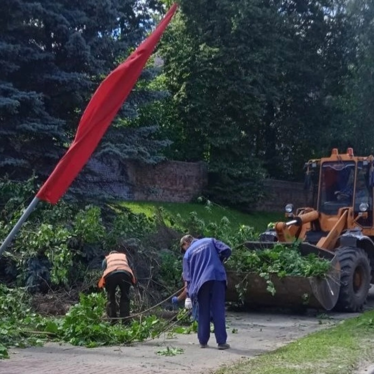 Упавшие на Князь-Владимирском кладбище деревья убрали - День во Владимире