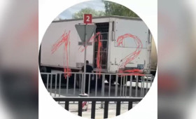Львы напали на человека во владимирском цирке у «Мегаторга»