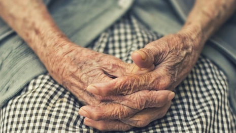 Пропавшую под Петушками 90-летнюю бабушку нашли живой