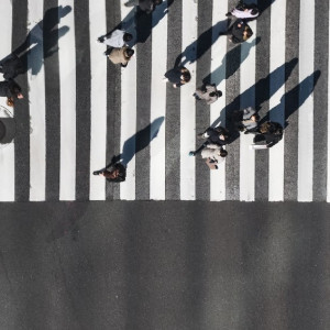 Во Владимирской области нашли живой женщину с седыми волосами 
