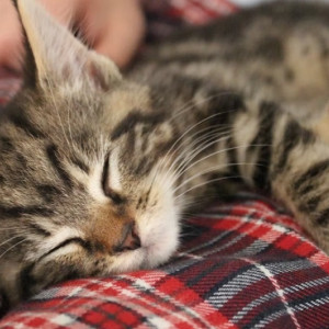 В длинные выходные Владимирскую область накроет арктический воздух