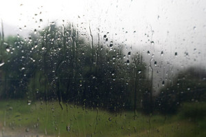 Во Владимирской область в октябре будет 13 дождливых дней