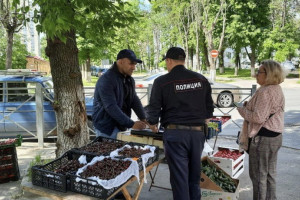 Во Владимире чиновники накрыли двоих нелегальных уличных торговцев